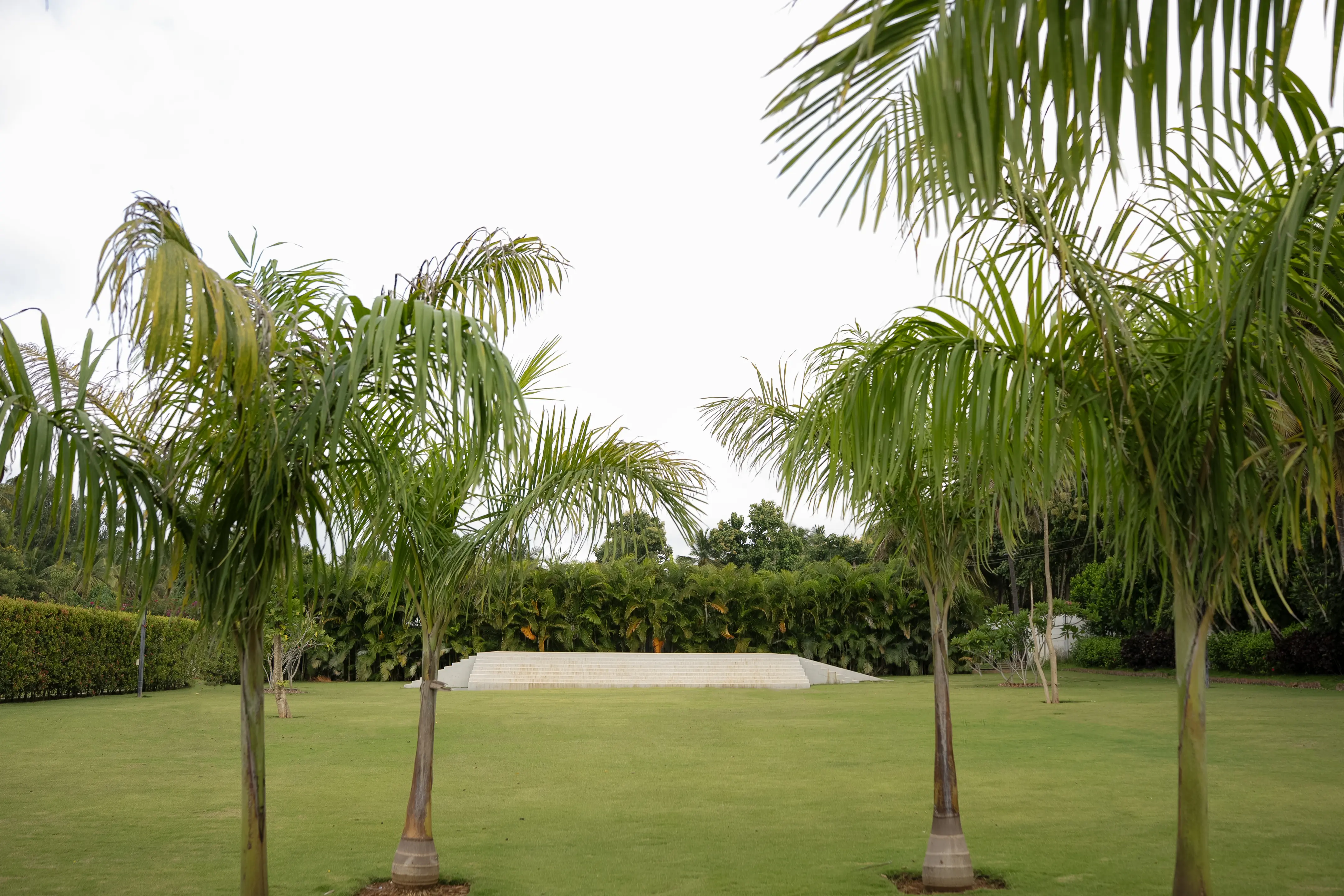 gallery-2