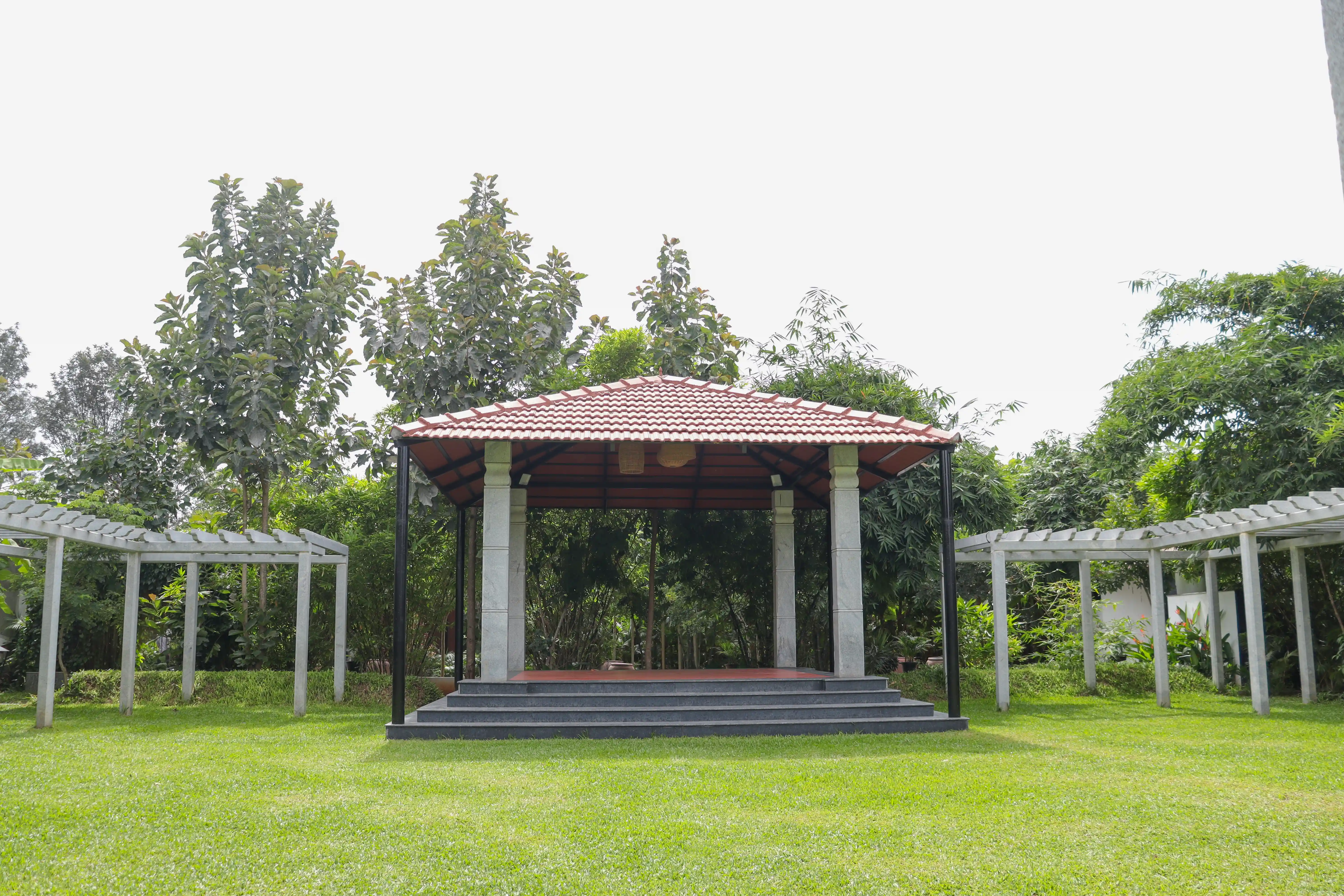 Serene Lawn
