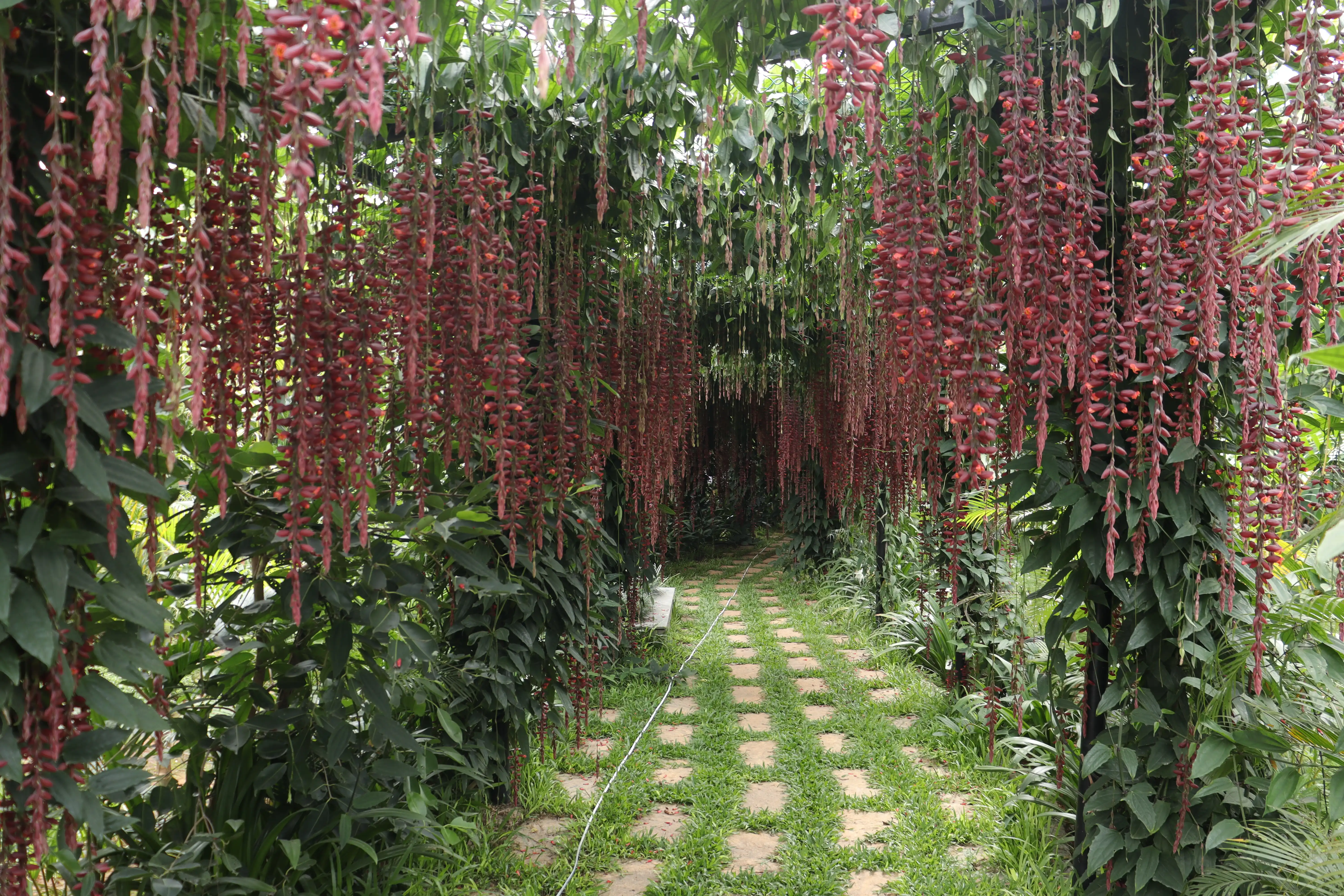 Walkways